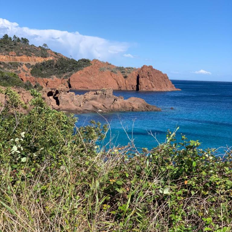 Beau 2 pièces, Magnifique vue mer et piscine - Appartement 1 Chambre - 48