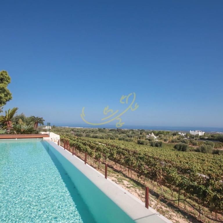 TD Tenuta Donna Madia Sea View Pool Over Vineyard - Villa - 35