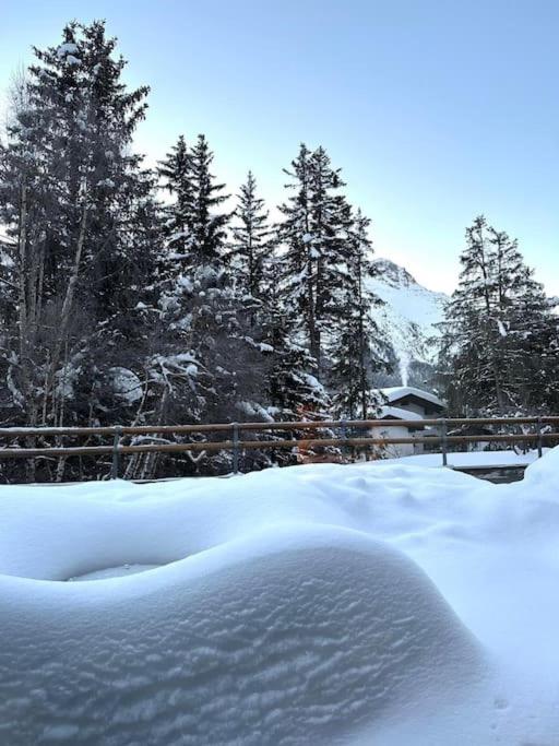 Wonderful cosy apartment in St. Moritz - Apartment mit 1 Schlafzimmer - 8