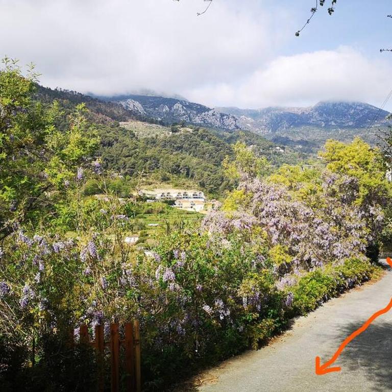 beautiful apartment in Villa Sandrinella - Appartement 2 Chambres - 27