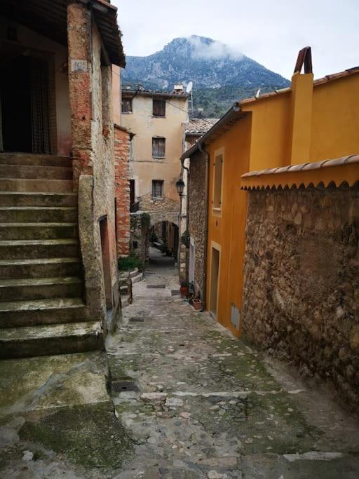 beautiful apartment in Villa Sandrinella - Appartement 2 Chambres - 31