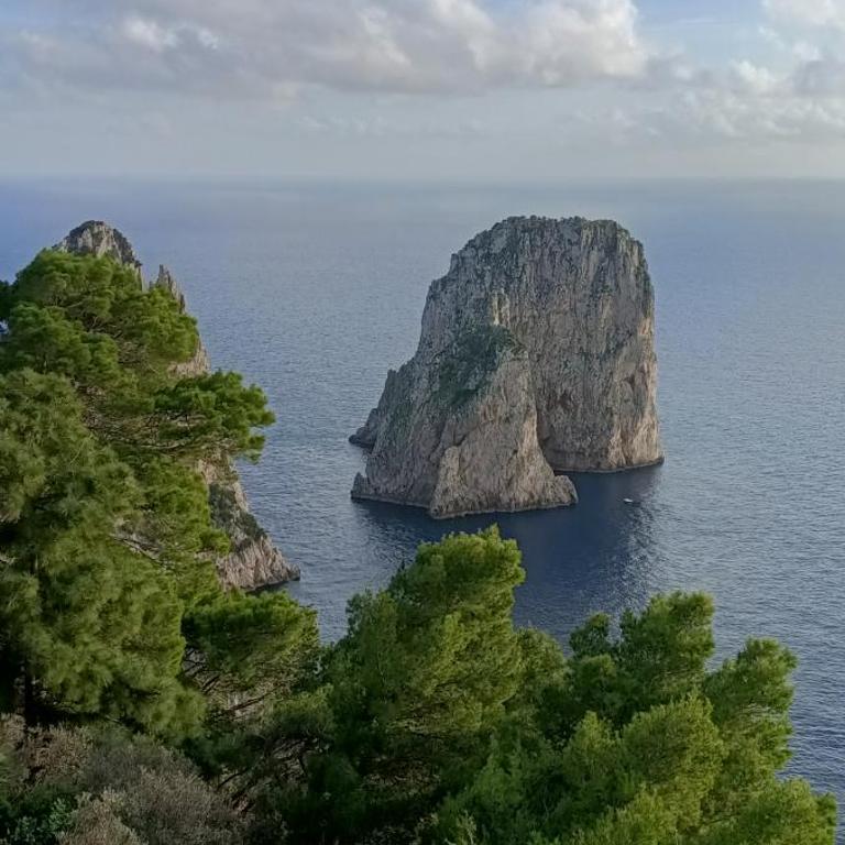 SAINT MICHAEL Capri - Monolocale con Terrazza - 2