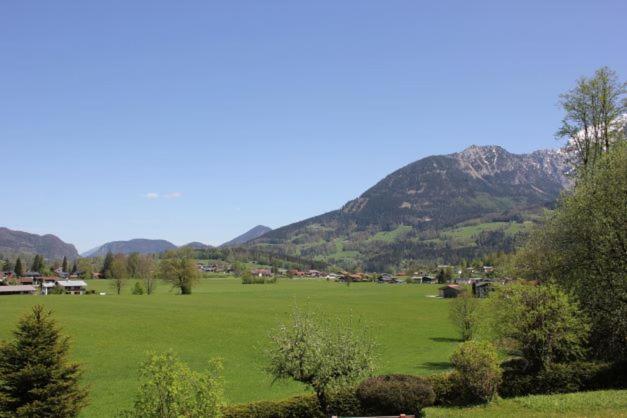 Haus Theresienwiese - Apartamento con terraza - 9