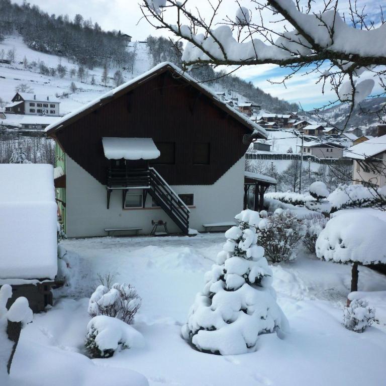 Gîte confortable à La Bresse, proche centre-ville, nature et activités - FR-1-589-97 - Maison de Vacances (4 Adultes) - 20