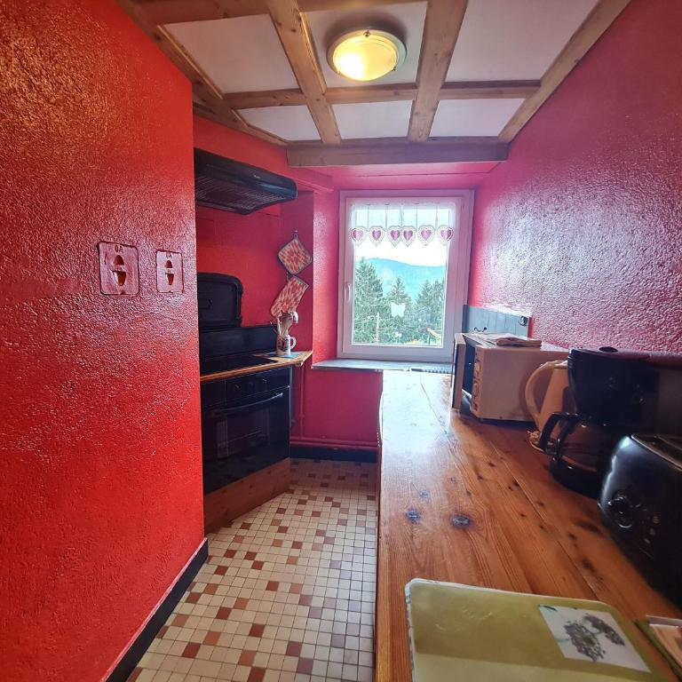 Gîte chaleureux avec terrasse privée à Gérardmer - FR-1-589-159 - Maison de Vacances (2 Adultes) - 11