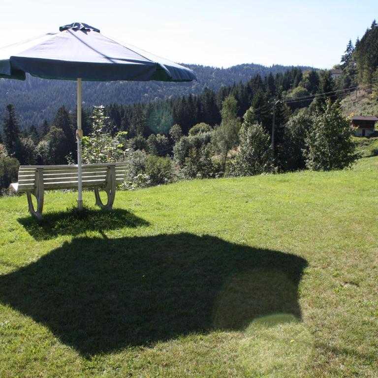 Gîte chaleureux avec terrasse privée à Gérardmer - FR-1-589-159 - Maison de Vacances (2 Adultes) - 13