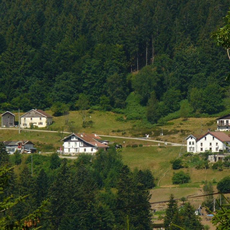 Gîte chaleureux avec terrasse privée à Gérardmer - FR-1-589-159 - Maison de Vacances (2 Adultes) - 14