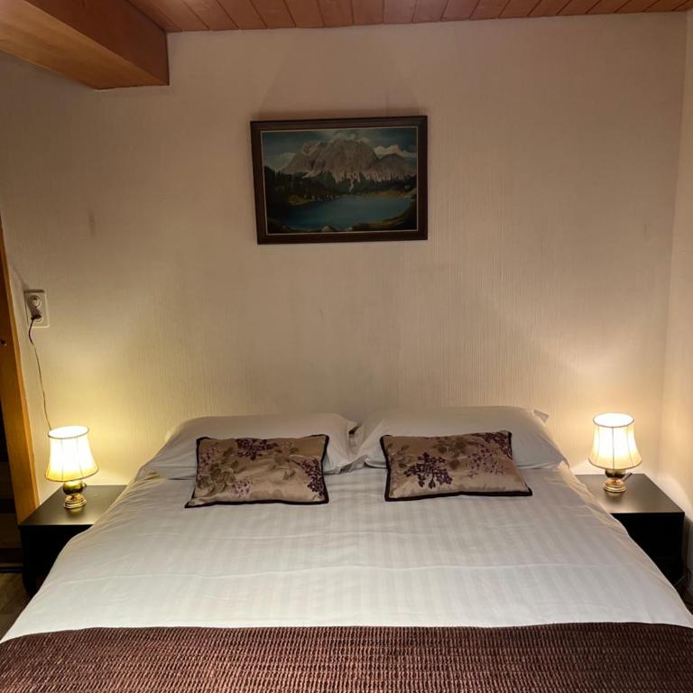 Historic Hotel Steinbock - Economy Doppelzimmer ohne Aussicht - 4