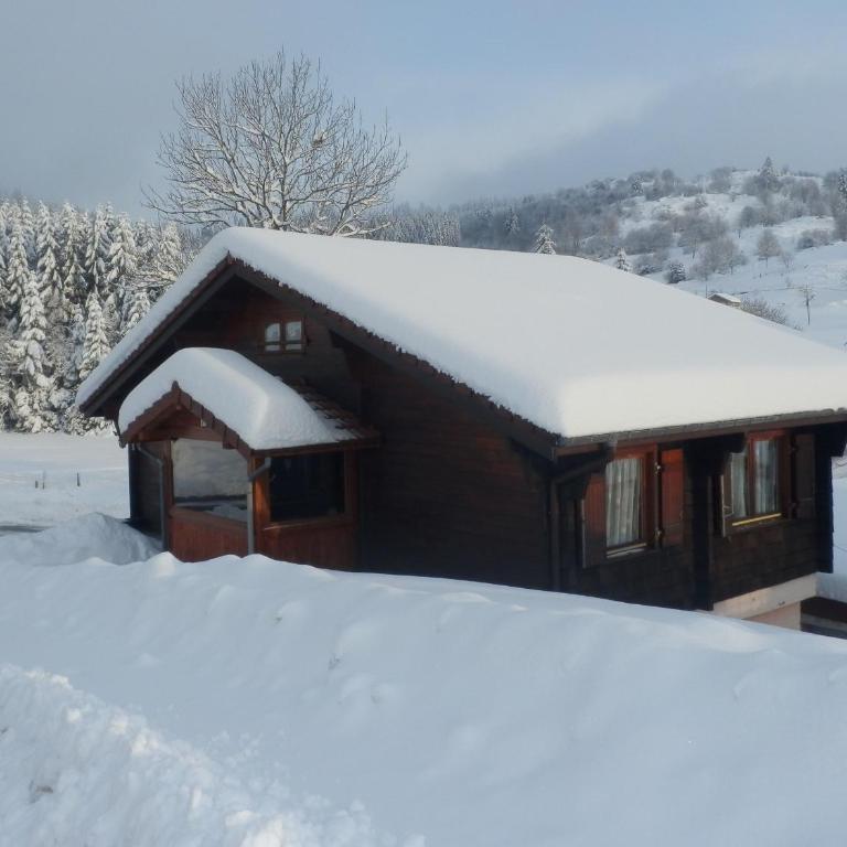 Chalet familial à La Bresse, proche randonnées, WIFI, animaux admis - FR-1-589-425 - Ferienhaus - 8