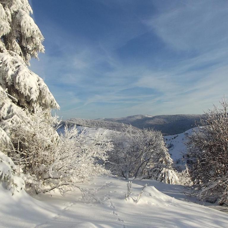 Chalet familial à La Bresse, proche randonnées, WIFI, animaux admis - FR-1-589-425 - Ferienhaus - 10