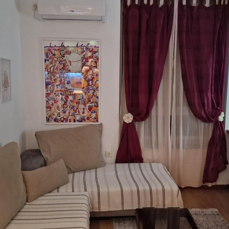 Dorcol-Basic Apartman - Apartman sa 1 Spavaćom Sobom - 10