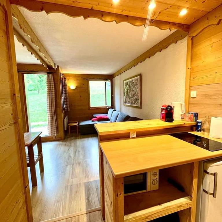 Superb studio Terrace Ski in Montchavin - Appartement 1 Chambre - 9