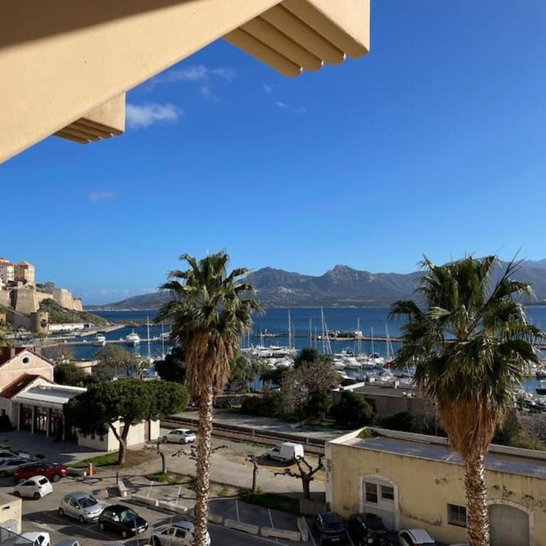 Superbe appartement vue mer - terrasse et parking - Apartment mit 3 Schlafzimmern - 24