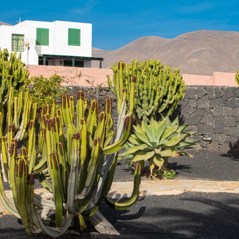 Villa Papagayo Lanzarote - Villa Deluxe - 59