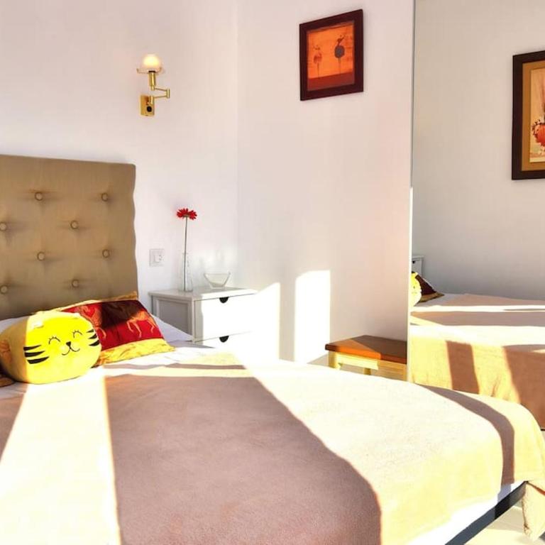 Apartamento Pino Alto - Apartamento de 1 dormitorio - 19