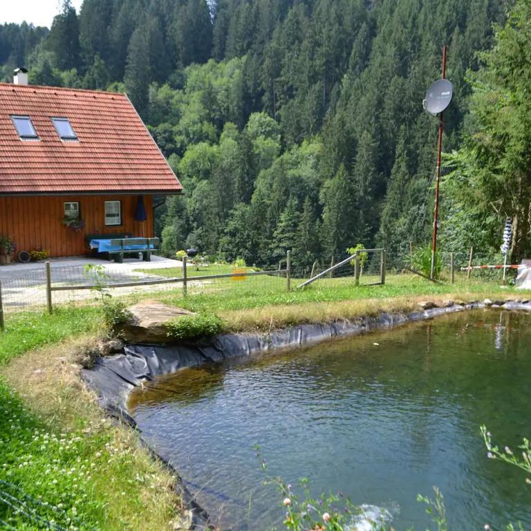Ferienhaus Waldenstein 1 - Haus mit 3 Schlafzimmern - 4