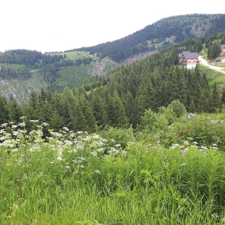 Ferienhaus Waldenstein 1 - Haus mit 3 Schlafzimmern - 16