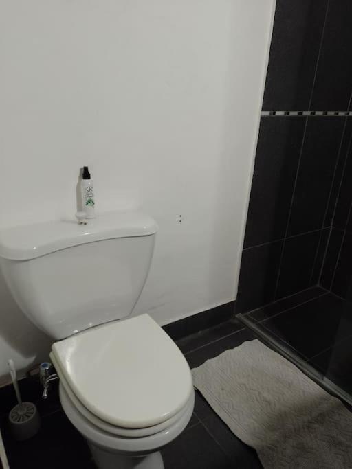 Departamento con Vista al Lago-Michay - Apartamento de 1 dormitorio - 13