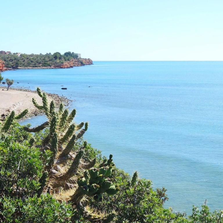Araceli - Chalet en Riumar con piscina privada, jardín y barbacoa - Deltavacaciones - Casa de 3 dormitorios - 19