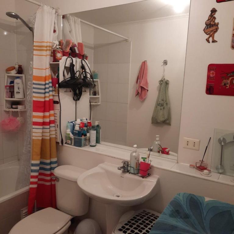 Comparto Depto. en La Cisterna ( hermoso y cómodo, cómo en casa) - Apartamento de 1 dormitorio - 3
