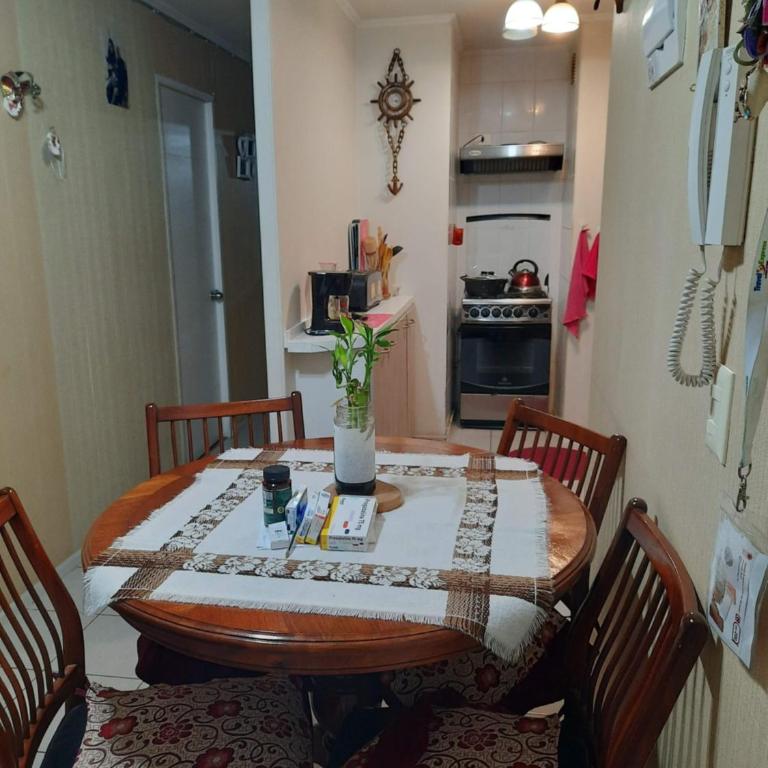 Comparto Depto. en La Cisterna ( hermoso y cómodo, cómo en casa) - Apartamento de 1 dormitorio - 5