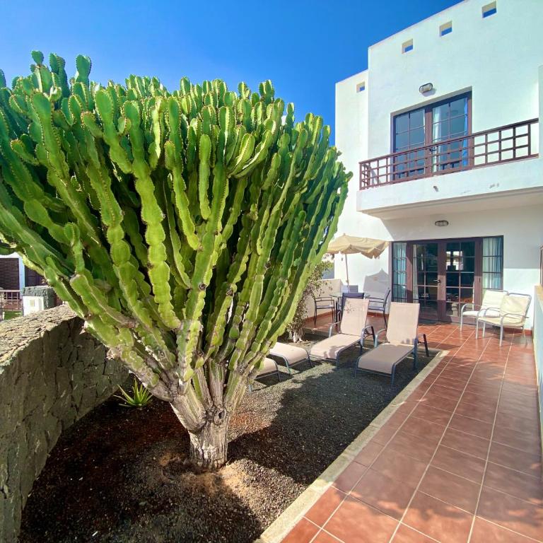 Casa Inma Las Piteras. Sol y agua - Apartamento de 2 dormitorios - 7