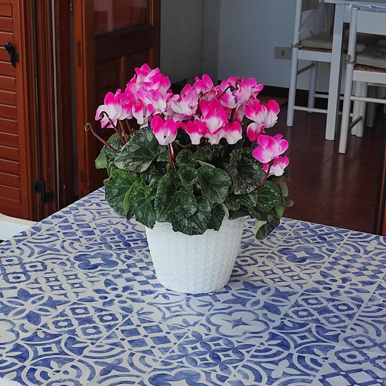 "A Mennulita" - One-Bedroom Apartment with Sea View and Terrace - 6