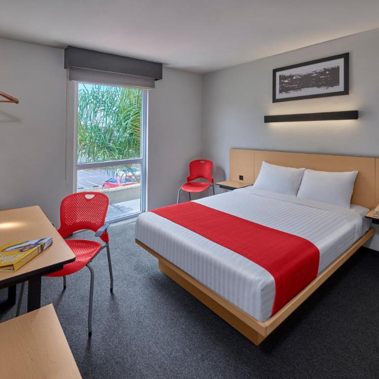 City Express Plus by Marriott Guadalajara Expo - Queen Room - 6