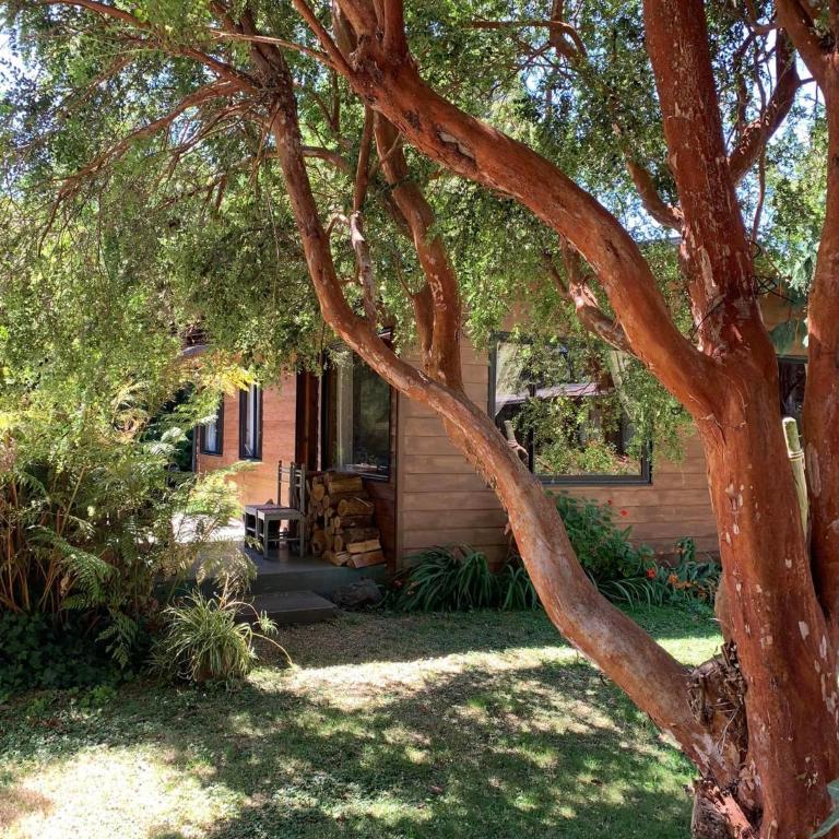 Cabaña Pucón - Three-Bedroom House - 27