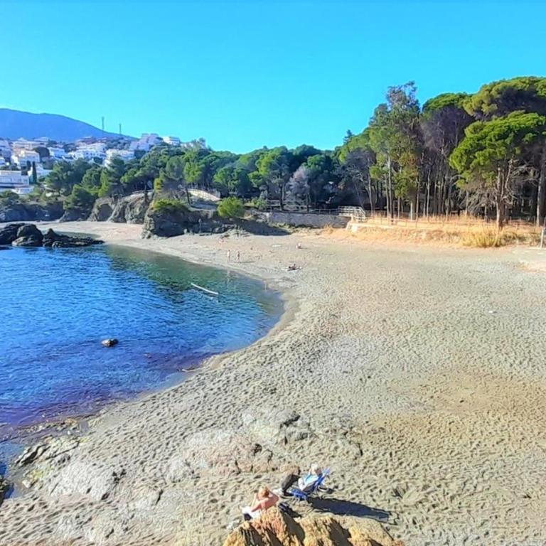 Apartamento Amplio en Cap Ras con Piscina y Terraza - 4 Hab, Admite Mascotas, Cerca de la Playa - ES-170-18 - Apartamento - 22