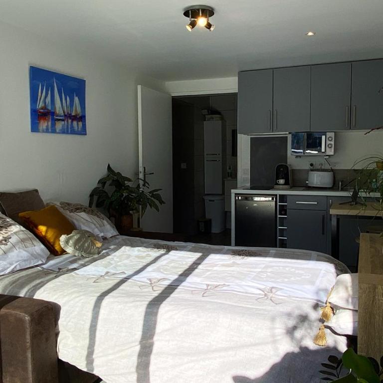 studio lumineux climatisé petit jardin et parking - Appartement 1 Chambre - 10