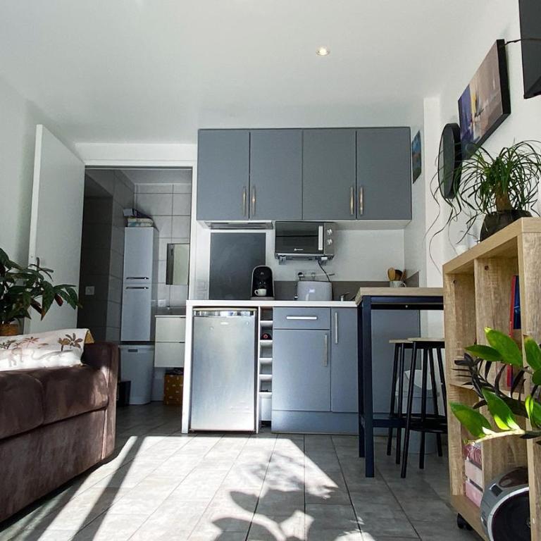 studio lumineux climatisé petit jardin et parking - Appartement 1 Chambre - 15