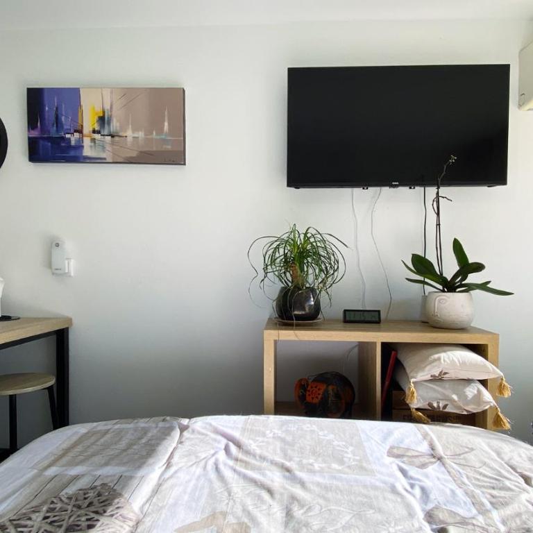 studio lumineux climatisé petit jardin et parking - Appartement 1 Chambre - 12