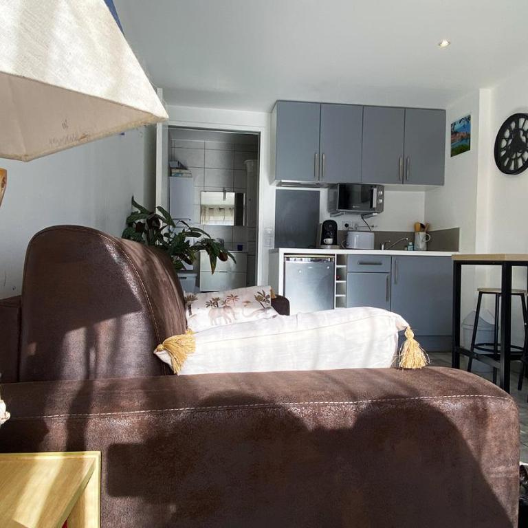 studio lumineux climatisé petit jardin et parking - Appartement 1 Chambre - 14