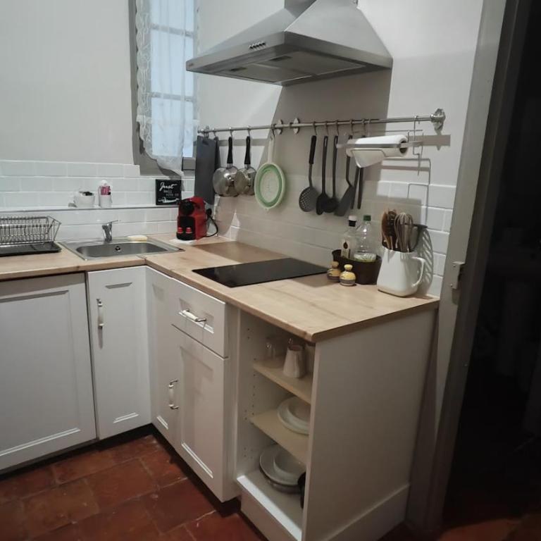 découvrez une ancienne maison de drapier du XVII siecle au coeur de bastide - Apartment mit 1 Schlafzimmer - 19