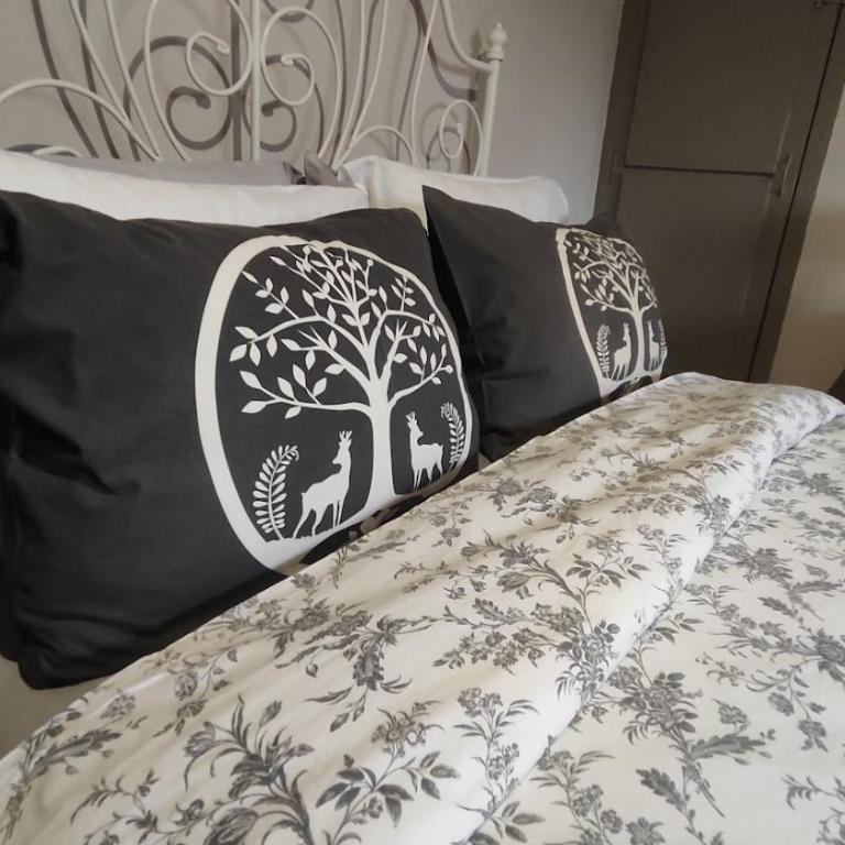 découvrez une ancienne maison de drapier du XVII siecle au coeur de bastide - Apartment mit 1 Schlafzimmer - 11