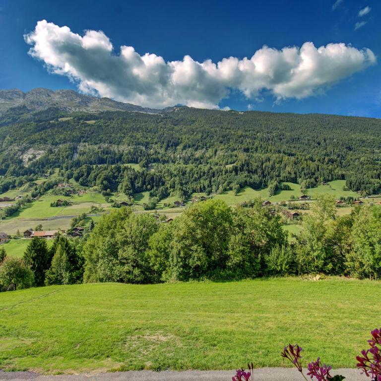 Chalets des Aravis Kitz et Buhel avec Jacuzzi 12 et 15 personnes - Chalet - 32