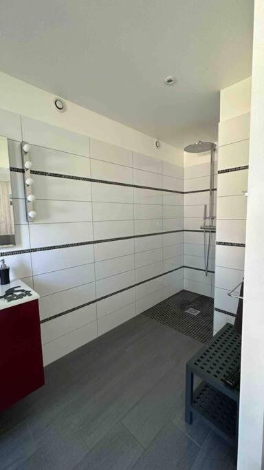 Maison du Lac avec Lagon, Spa de Nage, Jacuzzi - Villa - 33