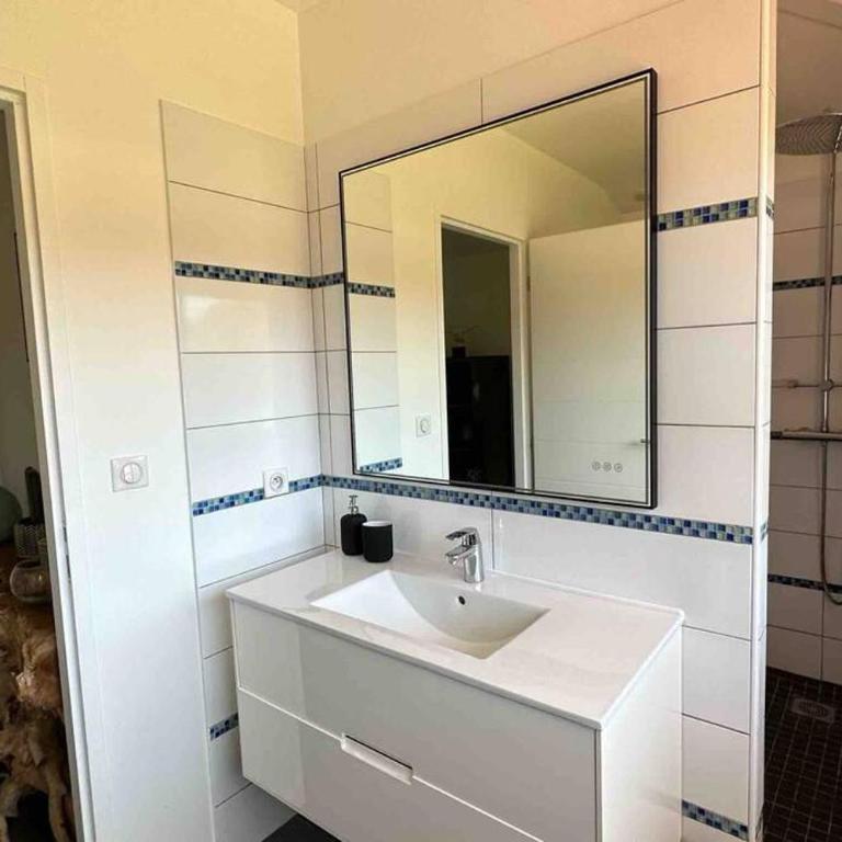 Maison du Lac avec Lagon, Spa de Nage, Jacuzzi - Villa - 39