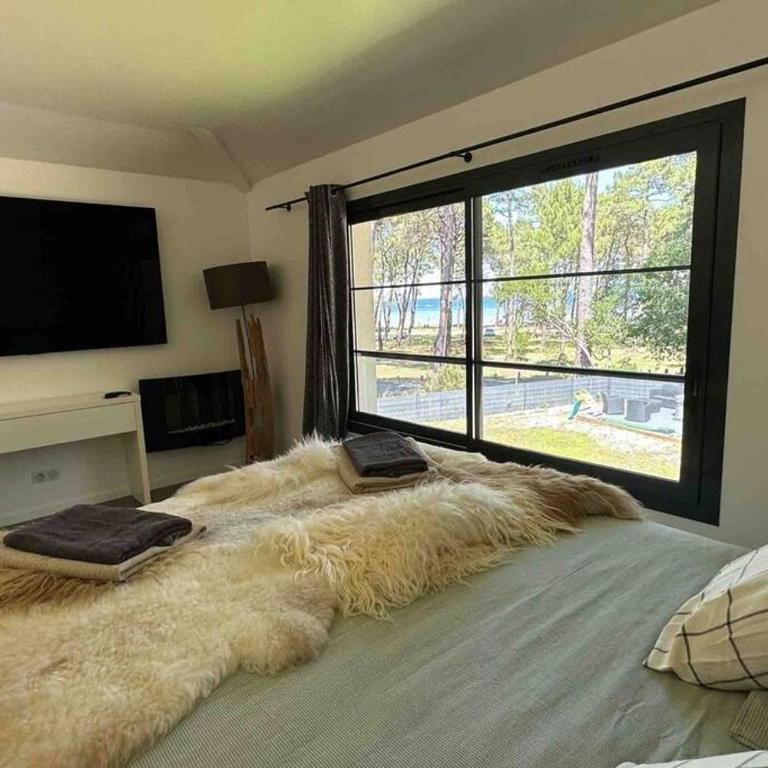 Maison du Lac avec Lagon, Spa de Nage, Jacuzzi - Villa - 41