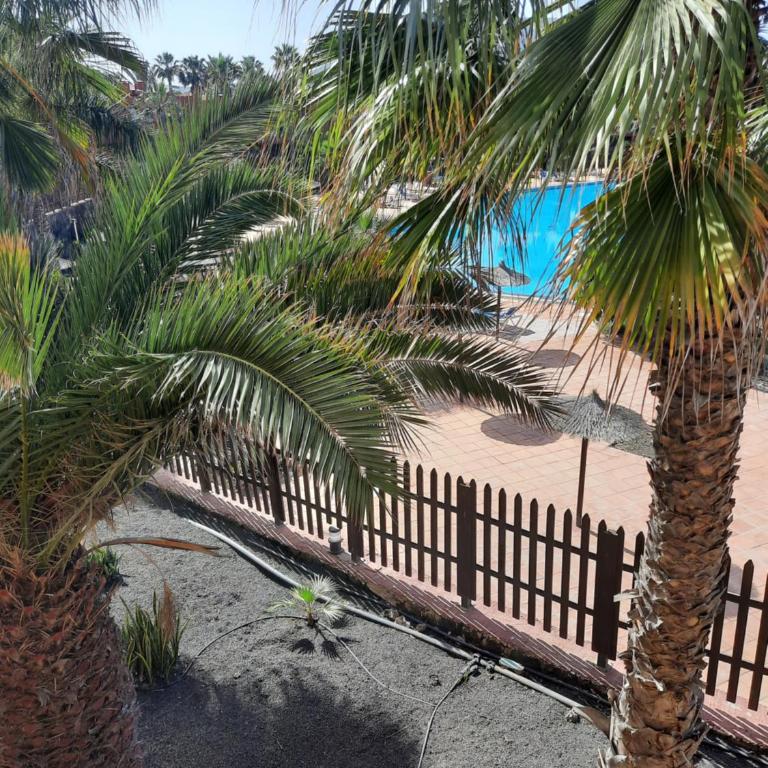Apartment with pool - Apartamento de 1 dormitorio - 2