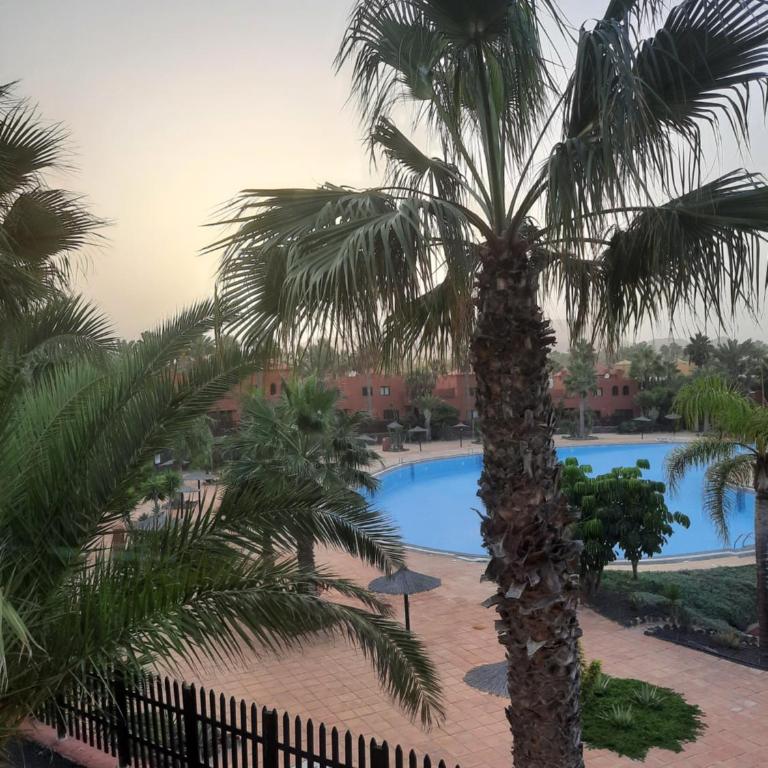 Apartment with pool - Apartamento de 1 dormitorio - 5