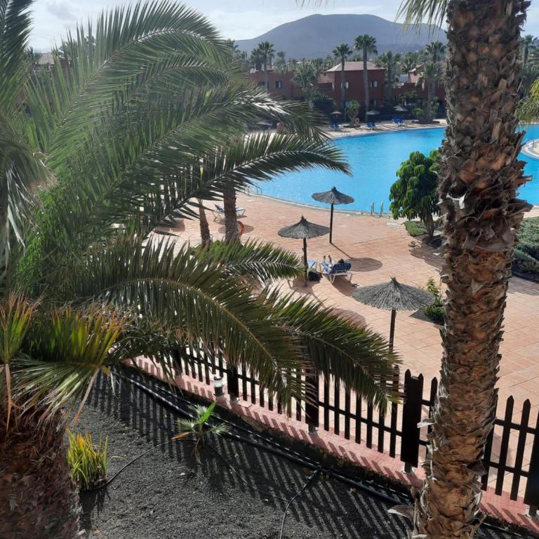 Apartment with pool - Apartamento de 1 dormitorio - 6