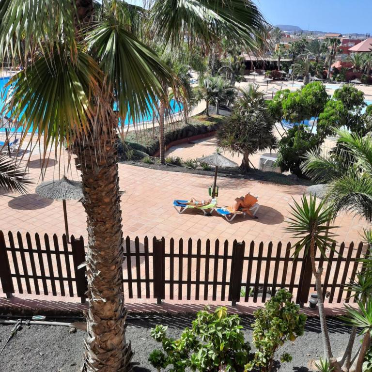 Apartment with pool - Apartamento de 1 dormitorio - 8
