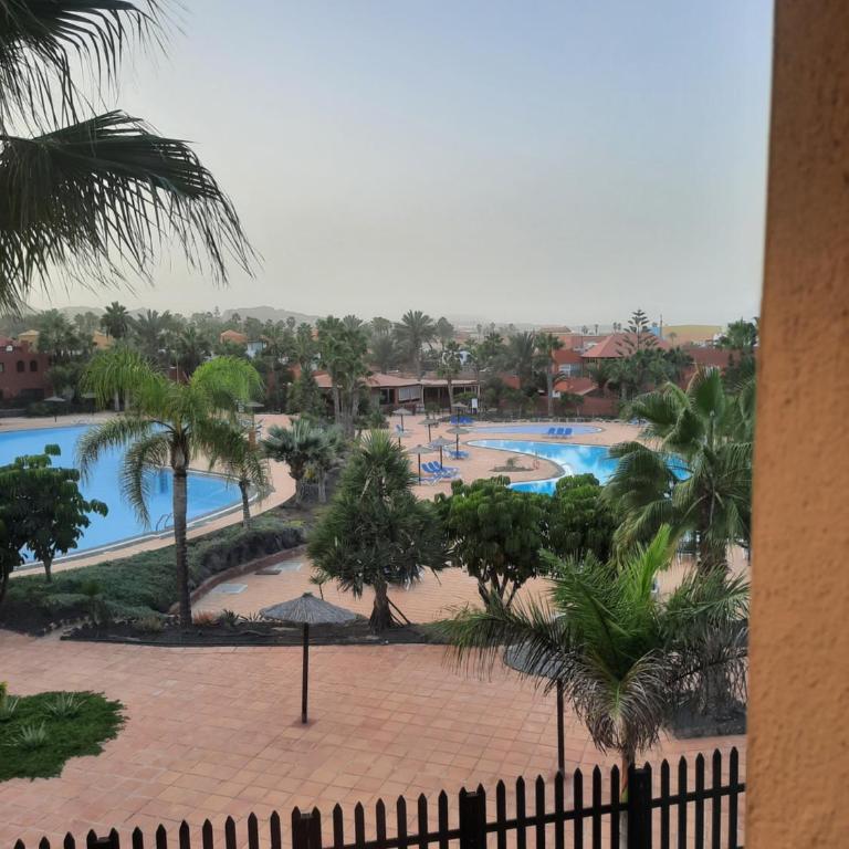 Apartment with pool - Apartamento de 1 dormitorio - 9
