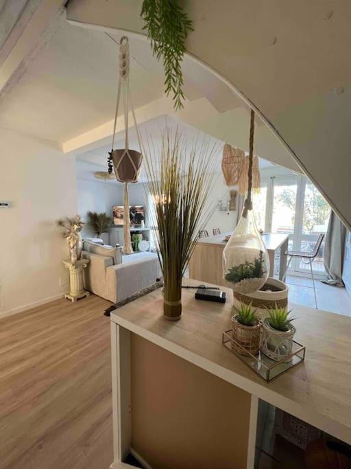 Ivissa cosy calme y confortable - Villa Standard - 22