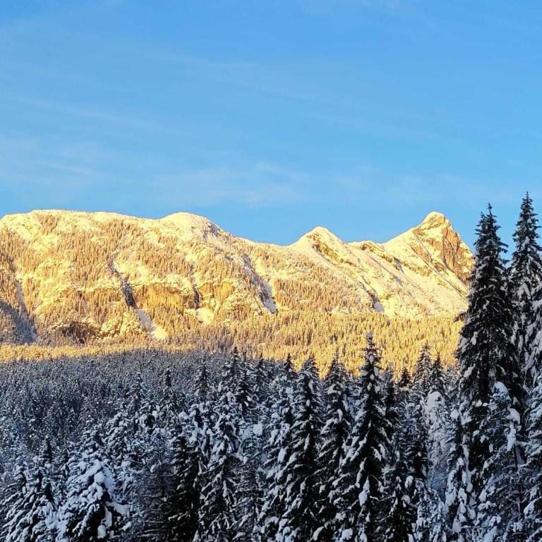 Alpenchalet im Leutaschtal - Villa mit 3 Schlafzimmern - 45