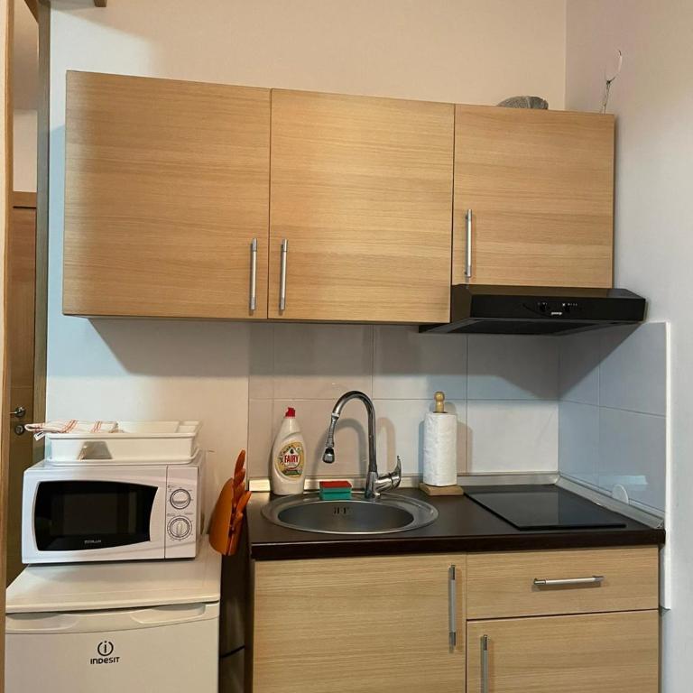 Apartman sa kaminom Vila Mina - Apartment - 3