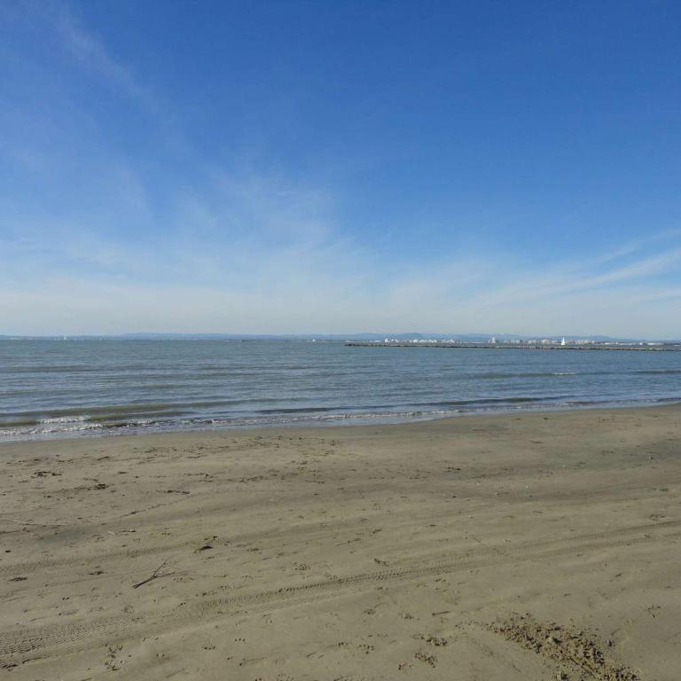 2 pièces près de la mer au Grau-du-Roi, climatisation, parking - FR-1-307-182 - Appartement (4 Adultes) - 21