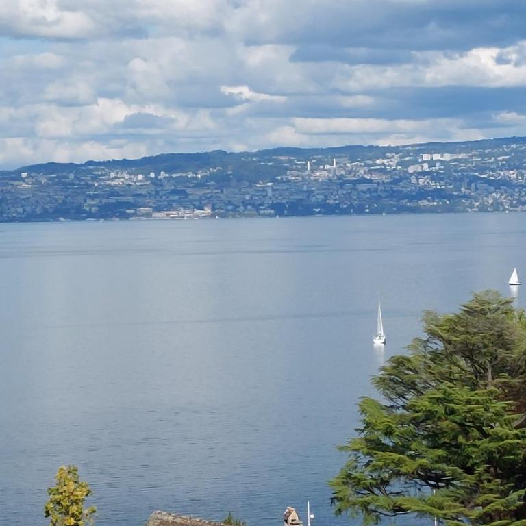 Le Mirabeau Vue Lac - Apartamento de 1 dormitorio - 7